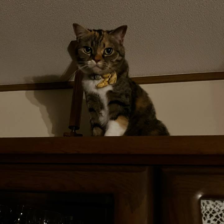 1dcbeee4 8ecc 49d6 abe3 e2af5b30a6b4 1774422785449