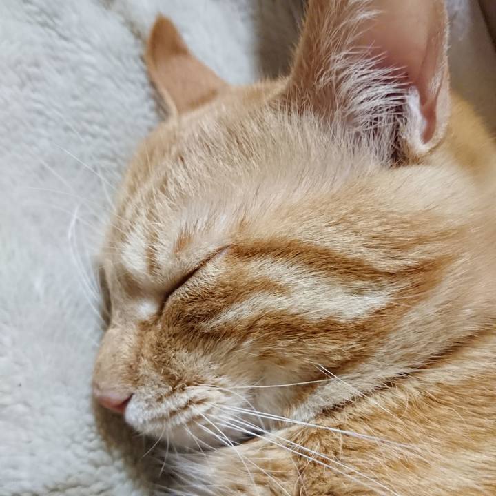 1dcc13ab 46b2 43b0 9048 0fb783e15a78 1644584388710