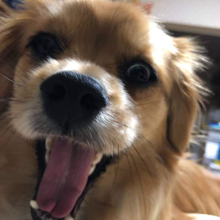 1dcc30aa a184 4405 bfcb da7ac70ffae4 1556623935046