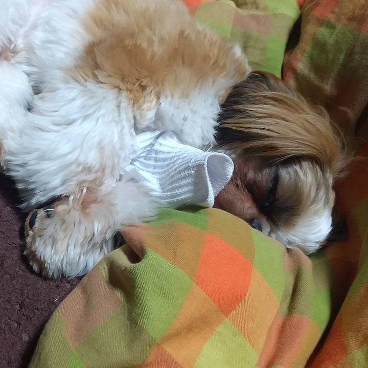 1dcc34ad 0c4e 48e6 861f 7e6f1faa4312 1572607546480