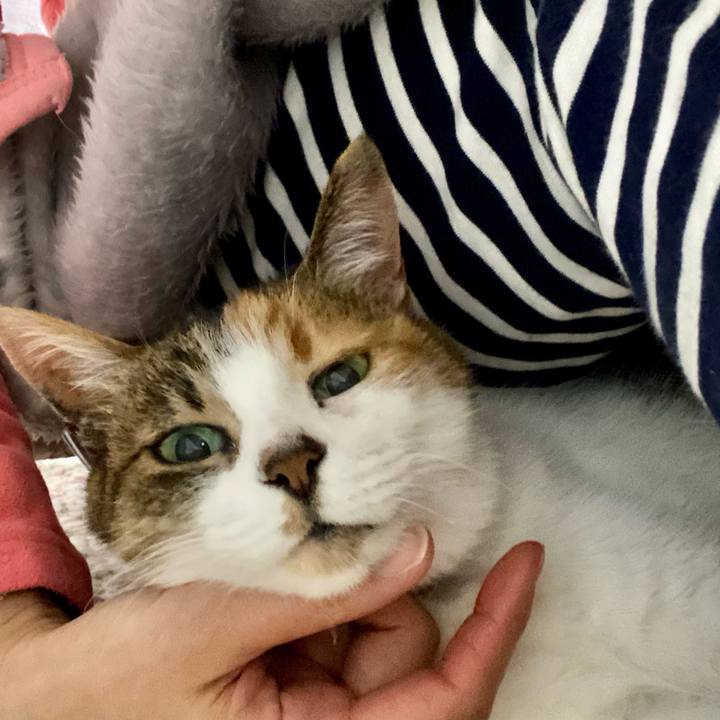 1dcc384f 1c7d 4c1a 913a 435e2ecb7c0c 1618582371328