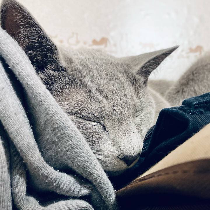 1dcc39a9 93f1 49c1 941d 213ff8821596 1622372695614