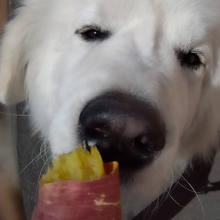 1dcc40a2 2674 4e09 b526 2deafa0248b7 1677113566301