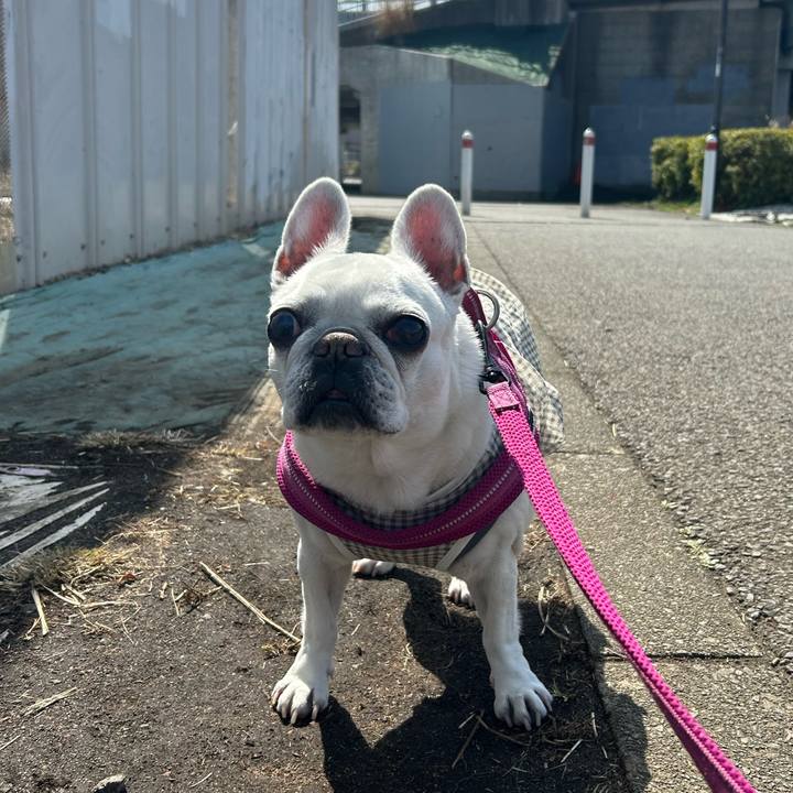 1dcc74ba 69bb 4422 994a a2b086e8d0f9 1742031367248