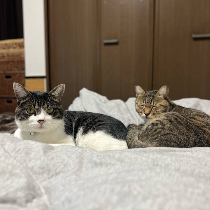 1dcc923c 8cb9 4239 8e02 dcd7df779dcc 1761921325592