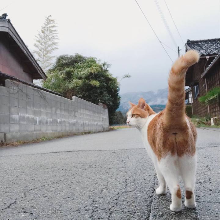 1dcca8d0 7f8c 4354 892a cc3f32ca1f69 1545021439151