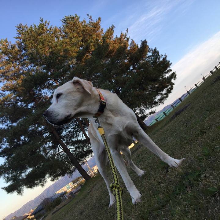 1dccb276 c84b 49b7 97e2 0f66bb9f4823 1581908855600