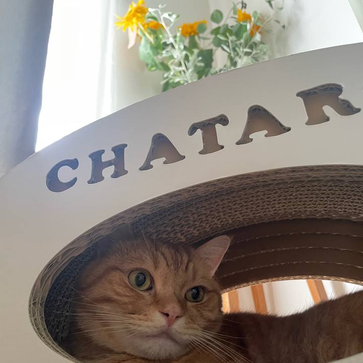 1dccbe3f 2a9d 4303 9e0e efc8a1976aa5 1757840471707