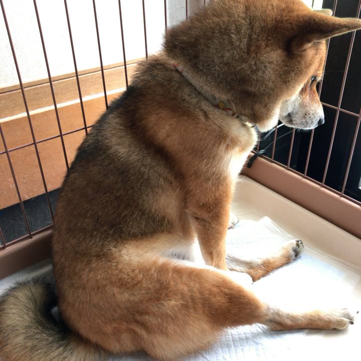 1dccd3c3 8e2c 431b 80f2 c284c57f0658 1569713727783