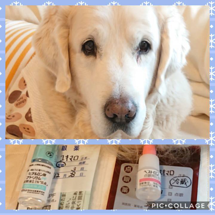 1dccea42 78b6 4b13 8fd1 d89f13cd38b8 1577511184129