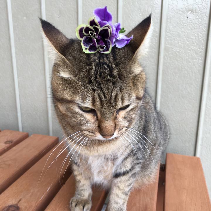 1dcd32f8 b266 4b65 80a1 818e8b441428 1537055186833