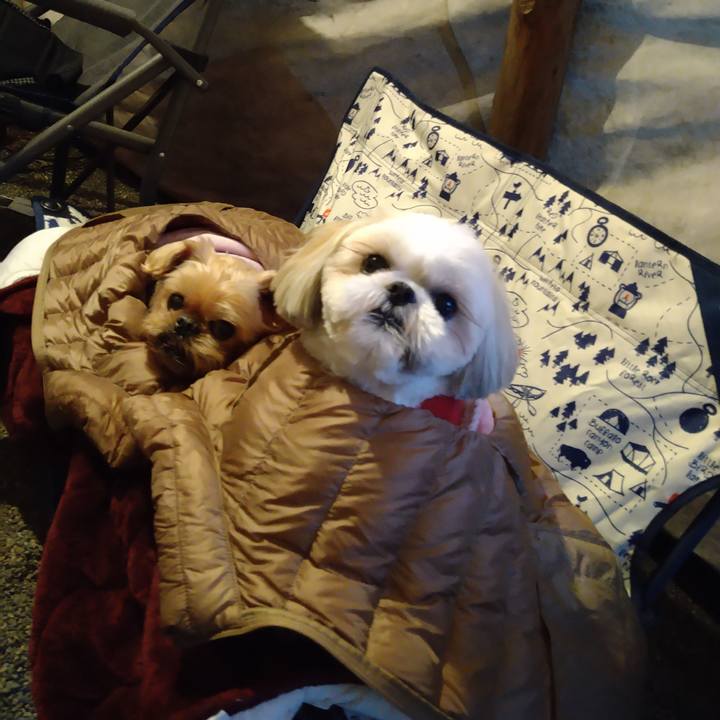 1dcddc46 1cdd 4c92 8a9e 7b5168f71036 1635076748041