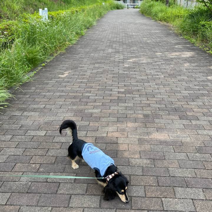 1dcde790 07f5 4560 8f79 dc63b8269edb 1716692343494