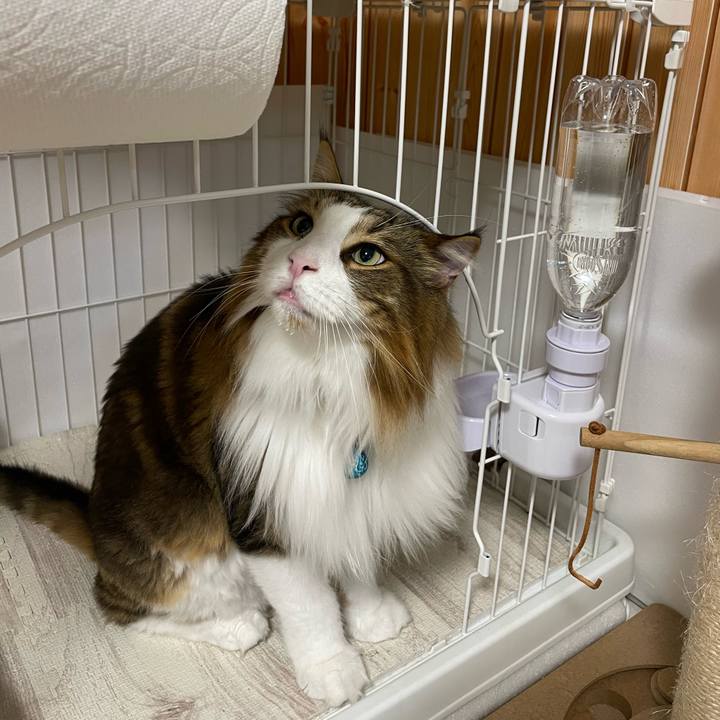 1dce4ab9 6f9a 4fdb a5bf ac74e2683ea0 1724097260093