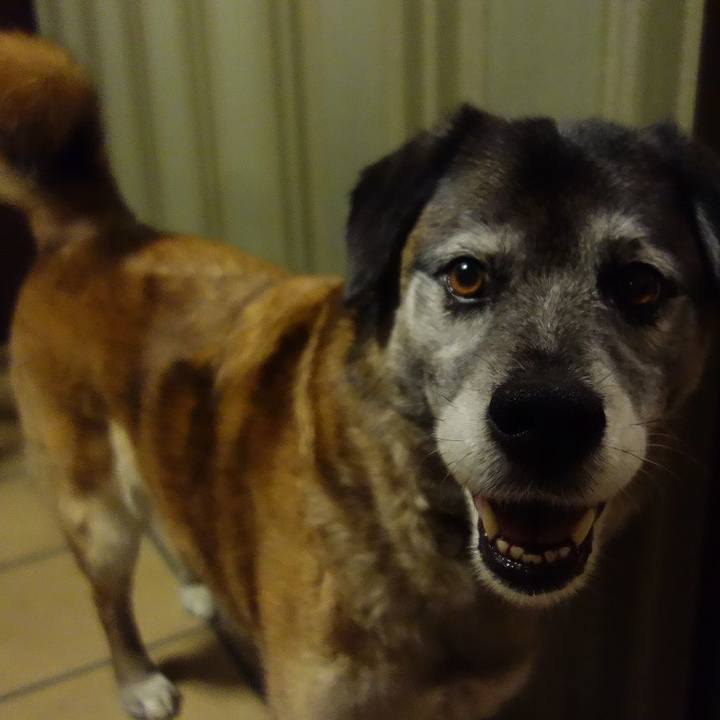 1dce64aa 8482 4def 85c1 08bb5be0269f 1522580959532