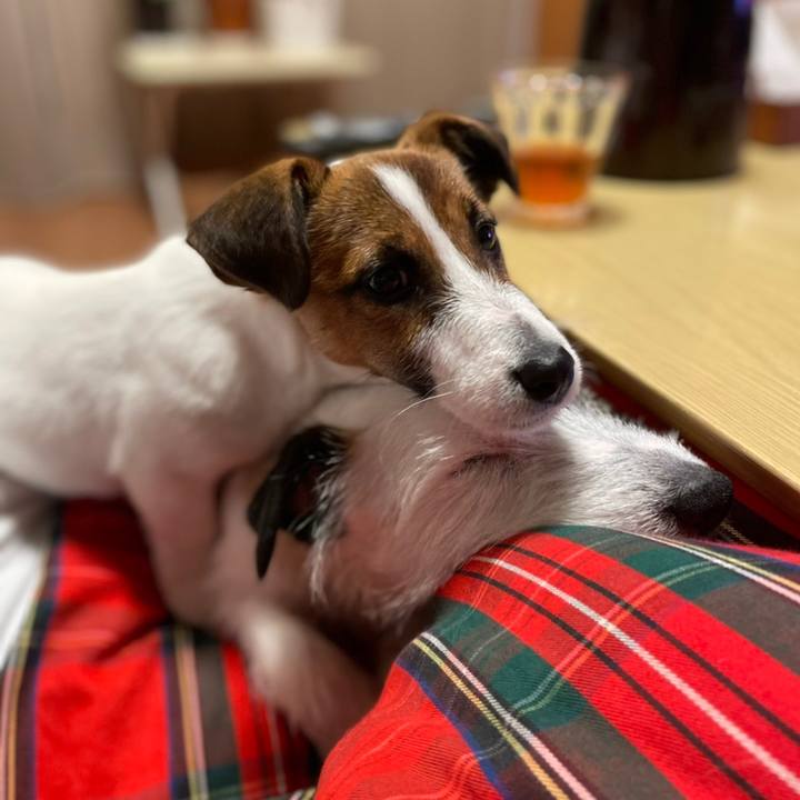 1dce85f8 2ee5 45c6 b40f 435b5218a064 1620473668203