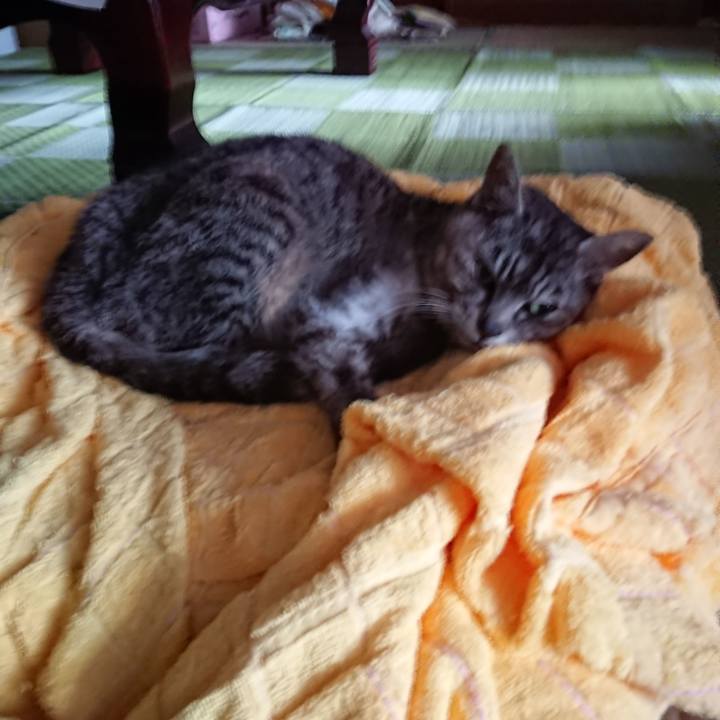 1dce9e83 cd3c 499e b366 e6e817c6f211 1593842473018