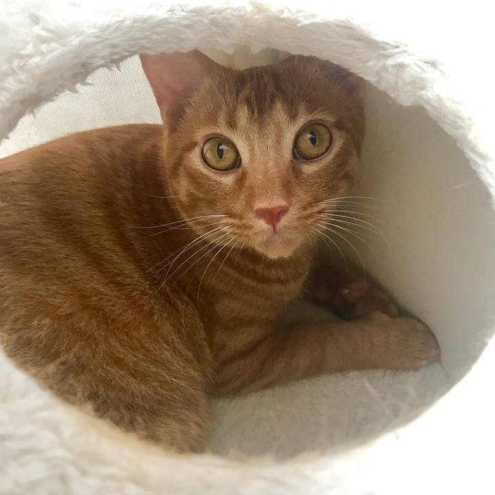 1dcec622 33c1 400d a857 c2e396732475 1600758426510