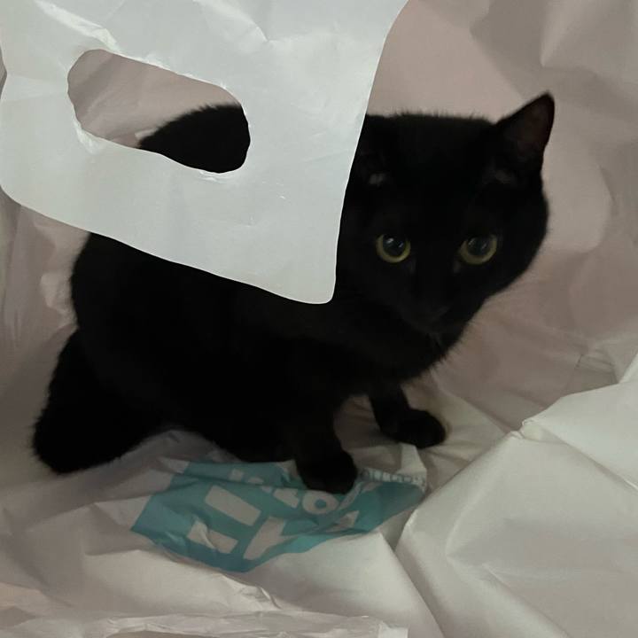 1dcecff7 433c 4e92 8961 04de85368d7b 1655553791357