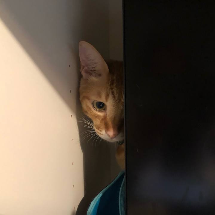 1dced201 67cf 4901 b989 2e2019ada72d 1631597914510