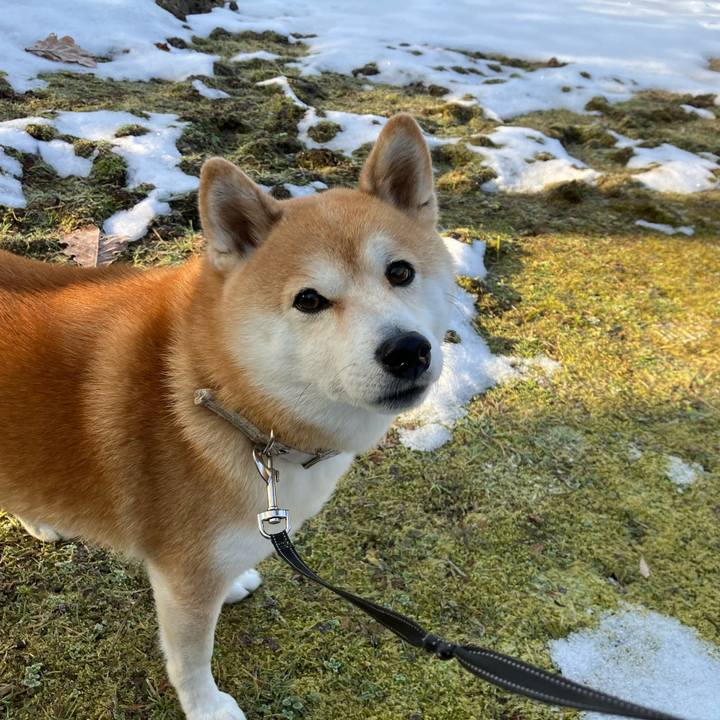 1dcef879 a1c7 4753 a573 be7cadd2f091 1768644735119