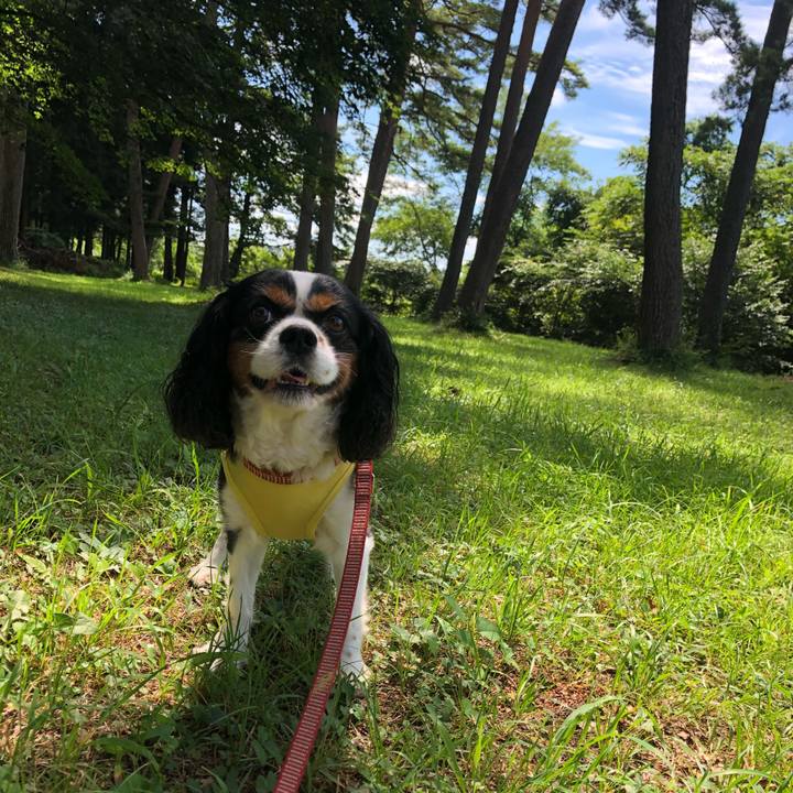 1dcf75a6 55a4 4d96 b3b2 5c8618ab9f13 1534823772875