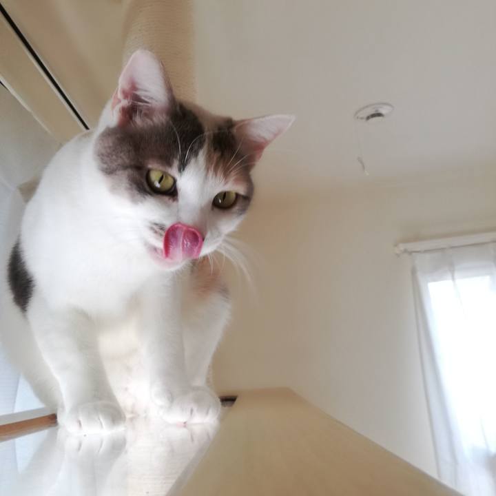 1dcf930a 8695 4978 bc46 123a4666f952 1542418235428