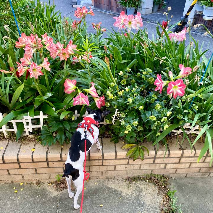 1dcfccaa 996b 4e82 831d 273ccd1ceb72 1621892920031