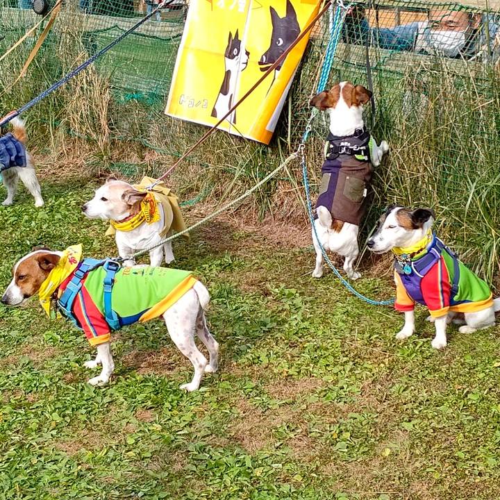 1dcfe7e2 24a0 45f4 9a2c 8e839c05ce76 1636278567968