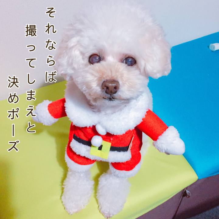 1dd00a9e 0536 4cda b047 c082d37a282f 1512088986990