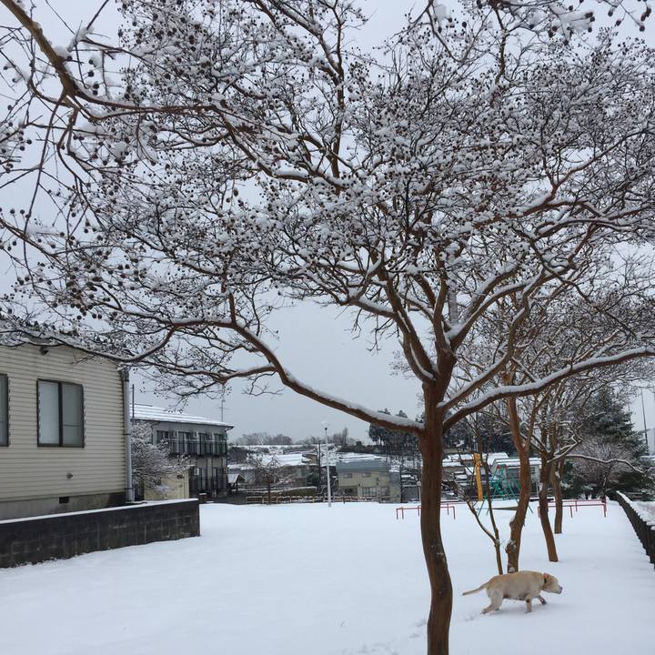 1dd034e9 7716 46b8 93f2 4d2c677a8f8a 1513733550584