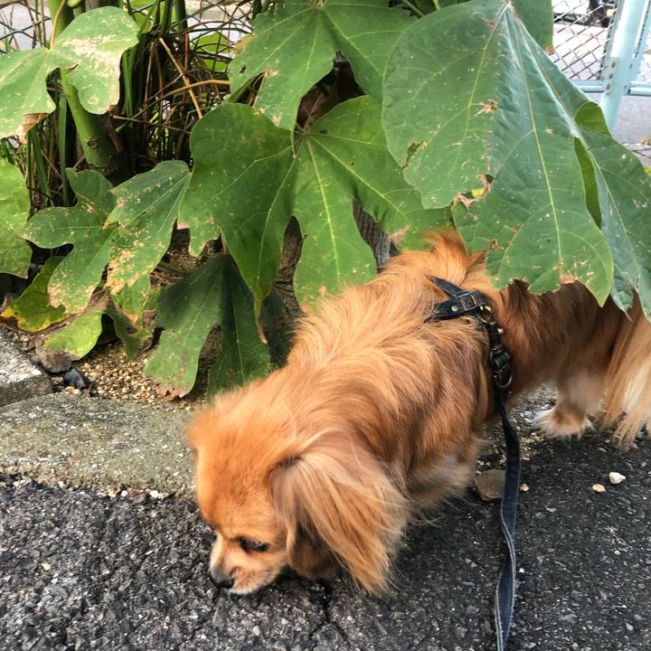 1dd045d2 07c9 4610 918d fc26be70b88f 1537219590792