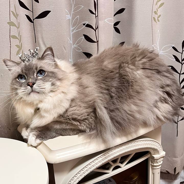 1dd06d15 1dd9 4c1e 80ba 54e0c05323e9 1667465768764