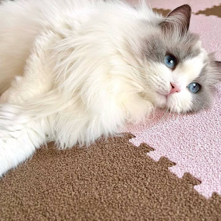 1dd0782b 6553 4f38 b7d0 4da04e05bd8e 1715241168572