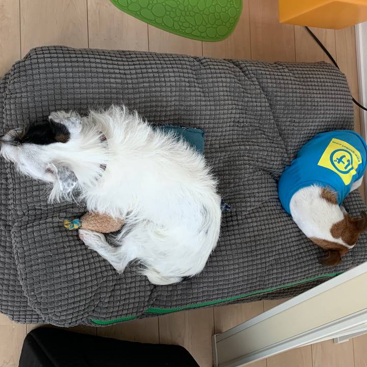 1dd0afad e6ea 41f4 a167 0323fd79f0fe 1571268696603