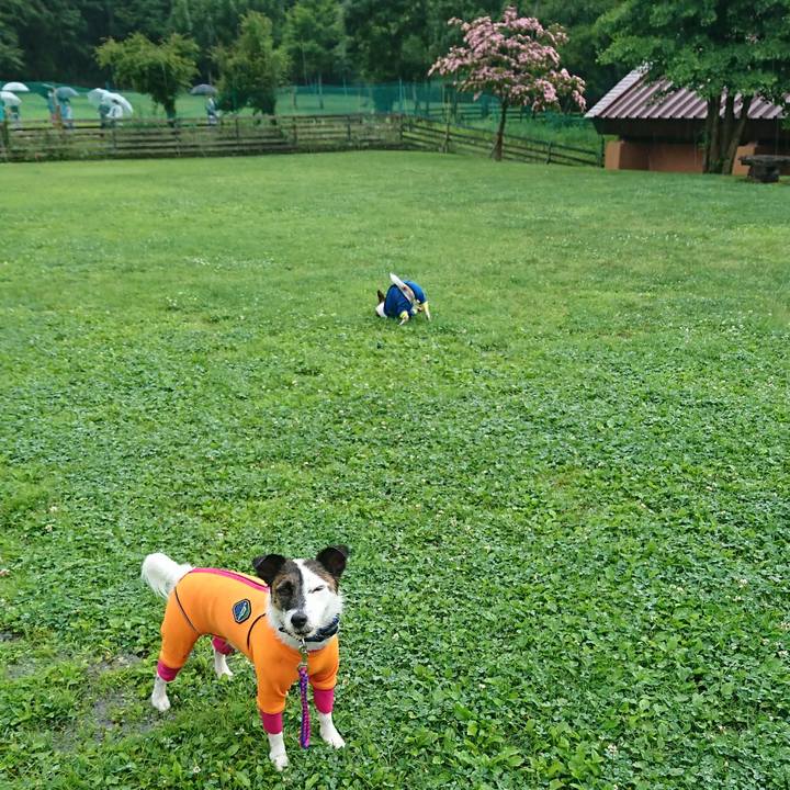 1dd0c974 1f0f 4da1 90b6 f8617efaf2c6 1593315421697