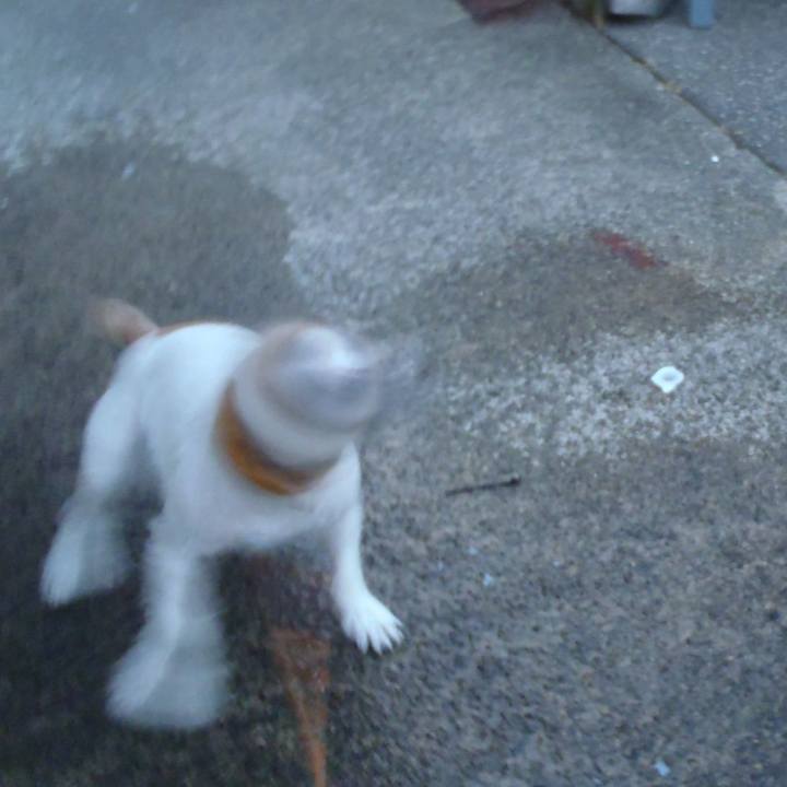 1dd0ff0a 61ed 4774 bac4 eddc9d0d4686 1538297723410