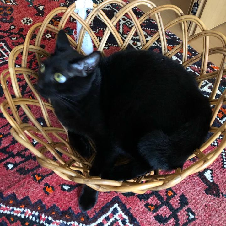 1dd1eee8 f28e 4114 b391 4fb6fa5fa023 1571877319677