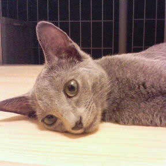 1dd1f6d5 13f9 403d b270 709948841c2e 1527217967467