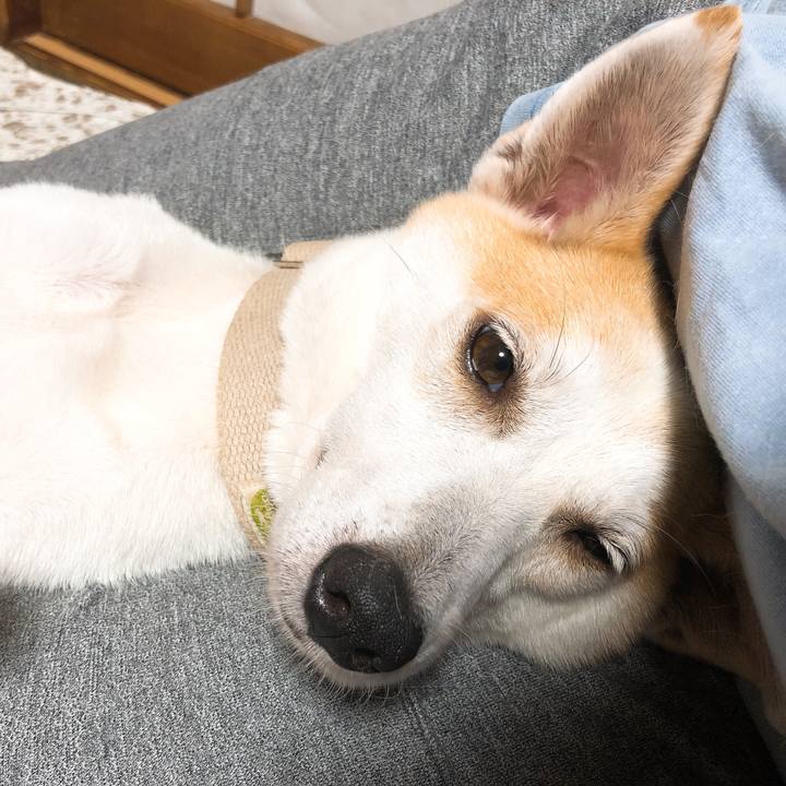 1dd26356 609c 4e4a b3db e955dd90c475 1594567323249