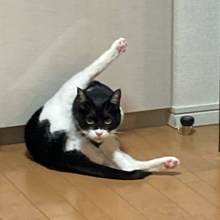 1dd26ff2 afeb 4fd9 9374 d0e268d21286 1704364626169