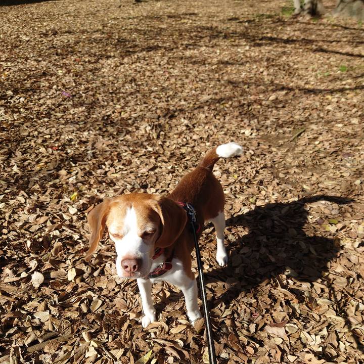 1dd2767c 4b87 441a 8926 770e0e957a04 1669519822466