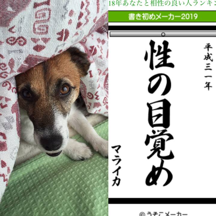 1dd2b415 62d2 44dd 8721 ea48aed5c746 1546331600957