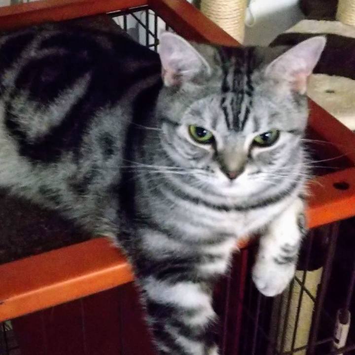 1dd2dd5d 0d76 46ee bc19 6ec952b8bfe4 1659436475388