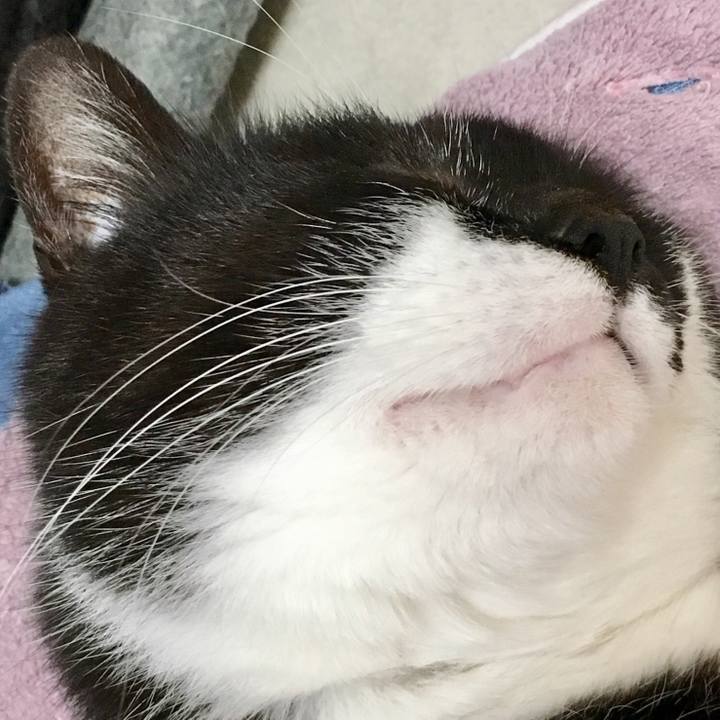 1dd2e9c3 06b0 4d17 aa1c 23ab8ecab4cb 1524907615729