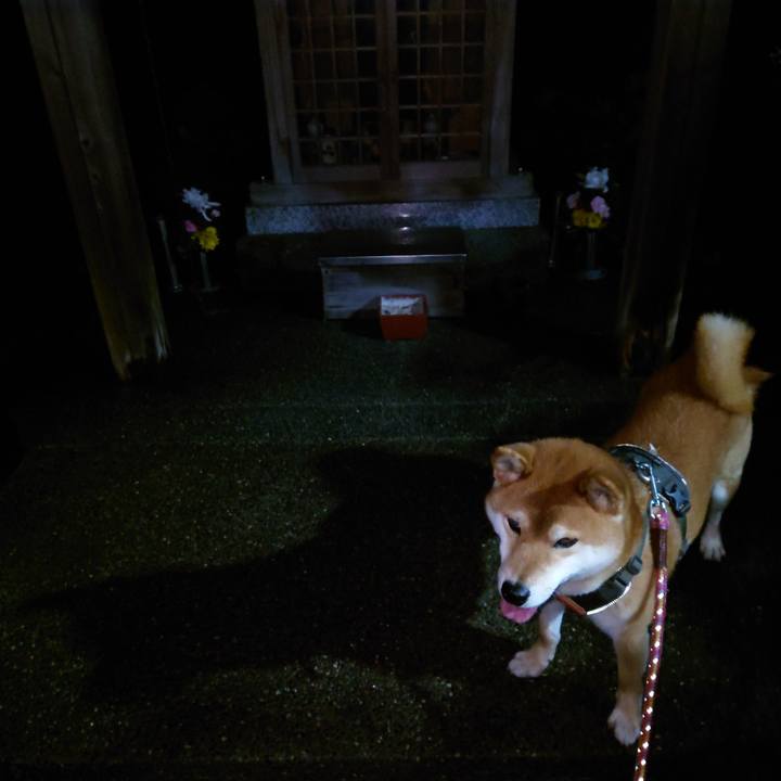 1dd31241 2d42 4823 abd3 302fda894113 1766533393305