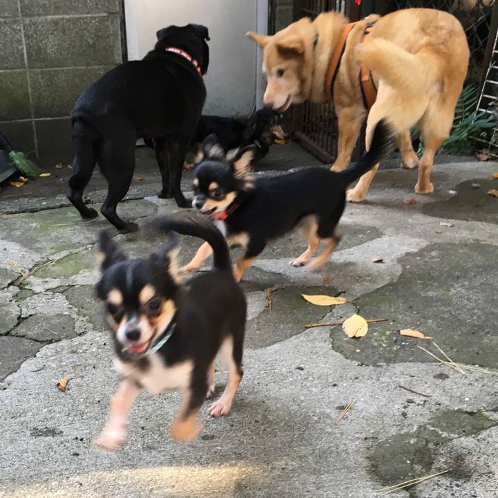 1dd326e8 0a55 4a8d bf39 ed1101e164af 1541314213159