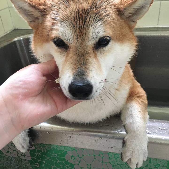 1dd32d31 a1b9 4b9d 9547 14147226f718 1597554124526