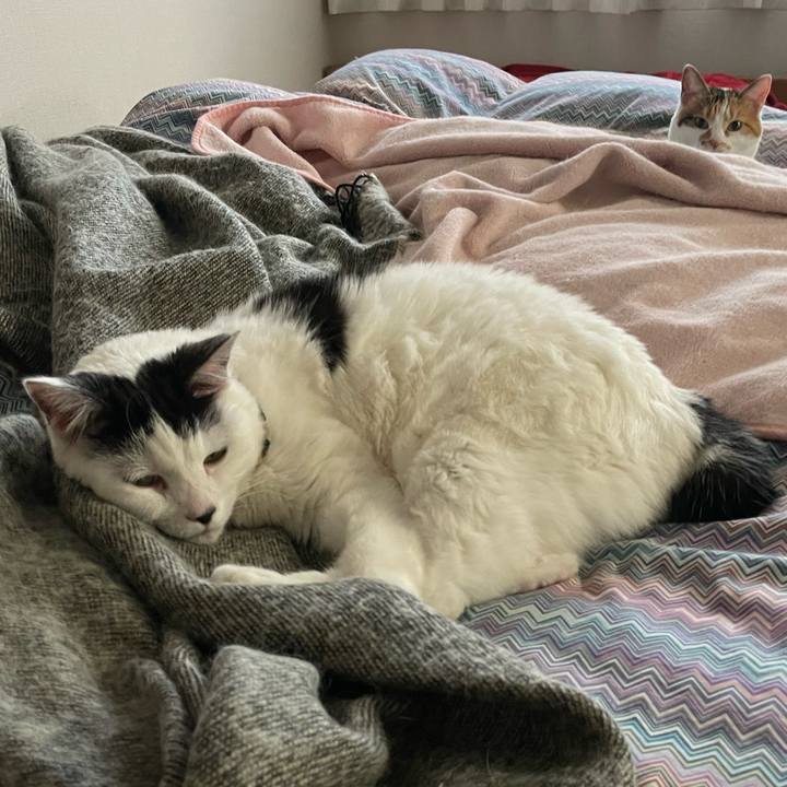 1dd3410b d7a5 4c00 beb8 e68671f28fbd 1650411033199