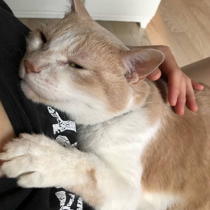 1dd36455 4755 40ec 8e16 52949deaacef 1554851400497